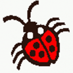 ladybug_cover