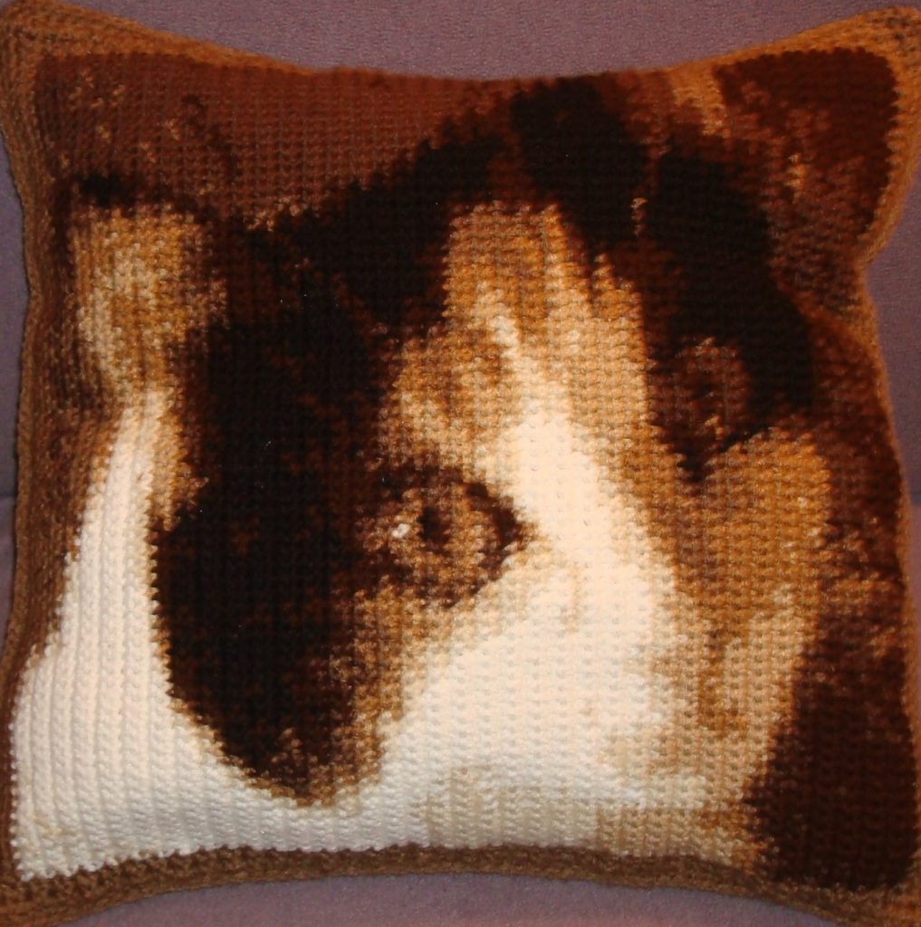General Meow pillow