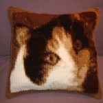 My General Meow pillow, a gift for a friend.