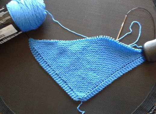 The pattern uses a "corner-to-Corner" stitch offset by a nice border.